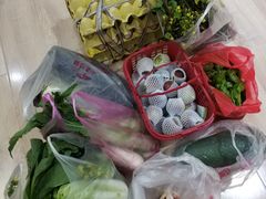 -武汉世外桃源农庄