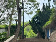 -观象山公园