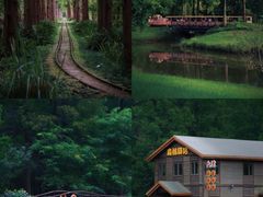 -黄海国家森林公园