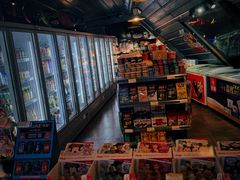 -枫花园汽车电影院(朝阳公园店)