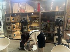 -台山新孖宝柴火黄鳝饭(三合温泉店)