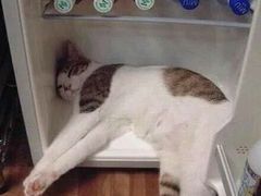 -八喜冰淇淋蛋糕(富国店)