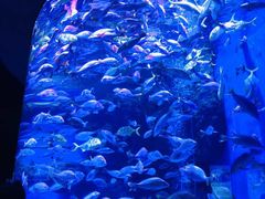 -成都浩海立方海洋公园