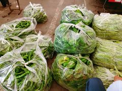 -天津金元宝滨海农产品交易市场(共发大道)