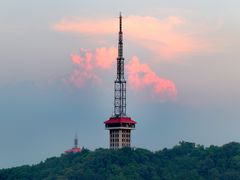 -惠山国家森林公园