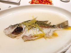 -花城苑广府菜(侨鑫店)