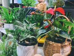 -何兮花店·气球派对鲜花店(马桥银春路万科城店)