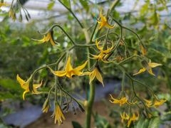 -广富林郊野公园