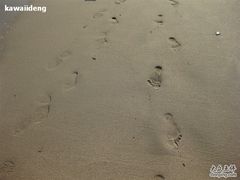 -西涌国际滨海旅游区