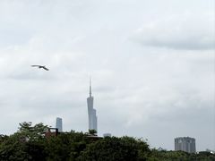 -海珠湖公园