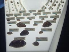 景点-贝壳梦幻世界