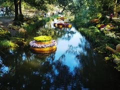 -上海共青森林公园