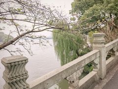 -楼外楼(西湖景区孤山路店)