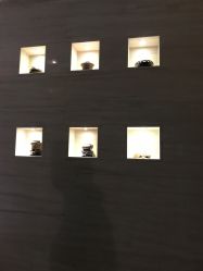 -威思丽高温瑜伽会馆