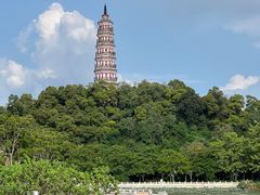 -顺峰山公园