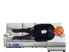 -芝华仕头等舱沙发(居然之家店)