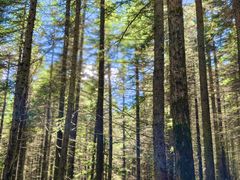 -芦芽山旅游度假区