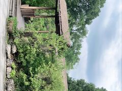 -南山植物园