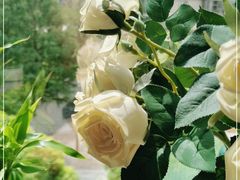 -金外滩国际广场