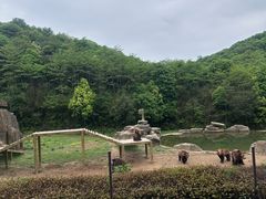 -杭州野生动物世界