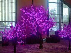 -长沙富力万达文华酒店