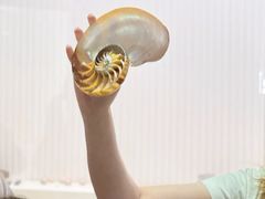 -青岛贝壳博物馆