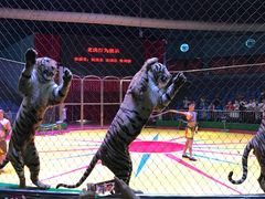 -西安秦岭野生动物园