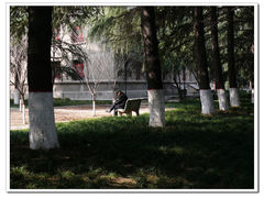 -陕西师范大学(雁塔校区)