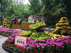 -莲湖公园