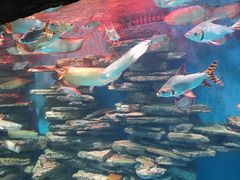 -多彩贵州城极地海洋世界