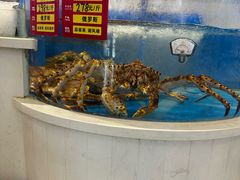 -北塘海鲜·天津菜(大光明桥旗舰店)