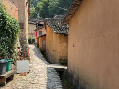 -杨家堂村