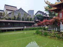 -龙潭水乡