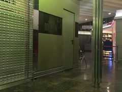-谢列梅捷沃国际机场