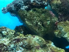 -鹿儿岛水族馆