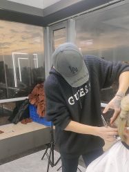 -藤野造型烫发染发