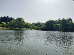 -共青国家森林公园-售票处