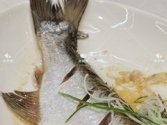 -蟹天蟹地农家菜·阳澄湖大闸蟹(浅水湾店)