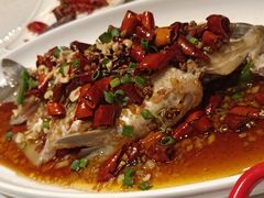 -杨氏青龙虾·羊蝎子(金盛路总店)