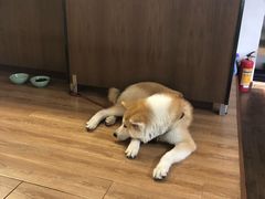-YCHL Studios健身工作室(市二宫店)