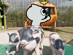 -长廊欢乐园