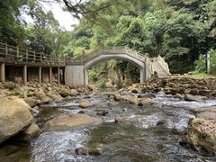 -广州市石门国家森林公园