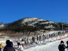 -东方巨龟苑景区