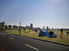 -春花秋色城市公园