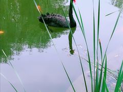 -白马涧龙池景区