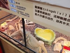 -汤姆熊欢乐世界(销品茂店)
