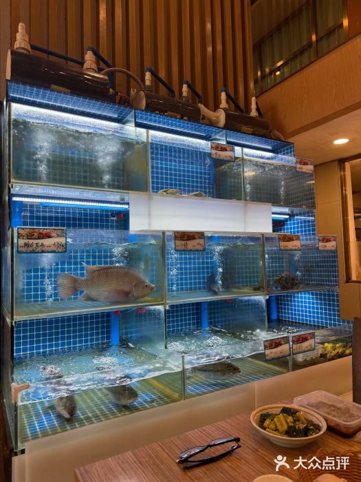 永記粤菜·五指毛桃花雕鸡煲(九亭店)图片