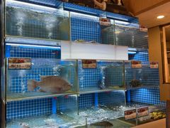 -永記粤菜·五指毛桃花雕鸡煲(九亭店)