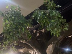 -爱江山温泉(凌奥店)