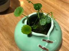 -顺承小院儿